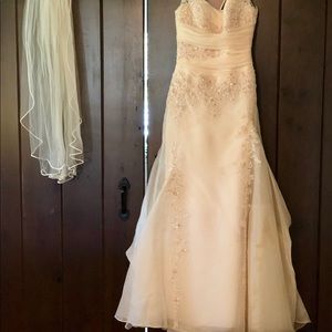Wedding Gown (Provonias 2007) size 2 and Vail